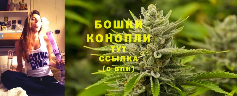 Бошки марихуана White Widow  купить  цена  Аргун 